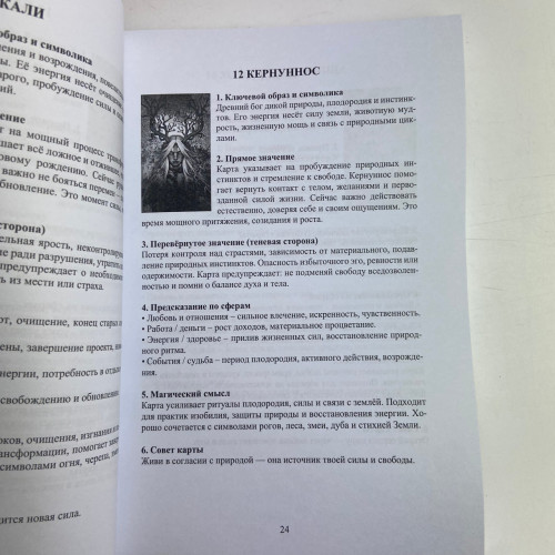 Книга - Оракул Гекаты