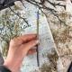 Синяя восковая свеча с можжевельником и тысячелистником 20 см