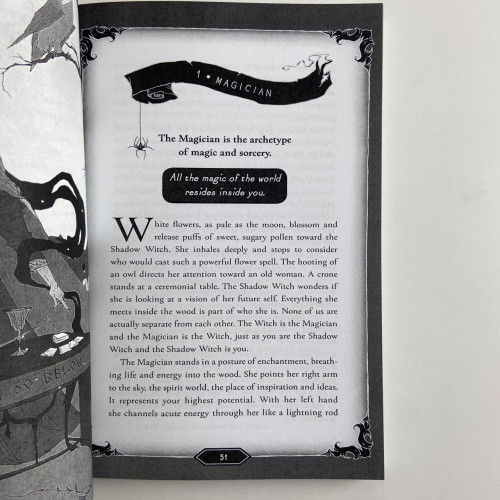 Подарунковий набір таро - Темного лісу, Dark Wood Tarot, книга + карти Подарунковий набір таро - Темного лісу, Dark Wood Tarot, книга + карти