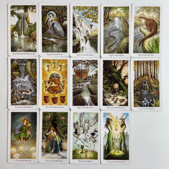 Карти Таро - Дикого лісу, зменшена (Wild Wood Tarot) Карти Таро - Дикого лісу, зменшена (Wild Wood Tarot)