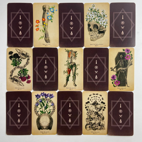 Карты Таро - Античной Анатомии, уменьшенная (Antique Anatomy Tarot)