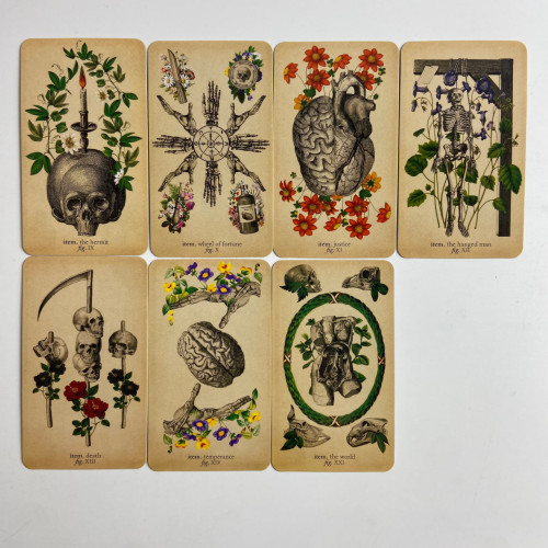 Карты Таро - Античной Анатомии, уменьшенная (Antique Anatomy Tarot)