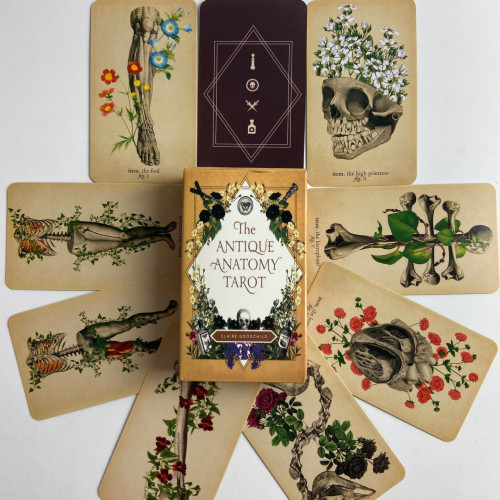 Карты Таро - Античной Анатомии, уменьшенная (Antique Anatomy Tarot)