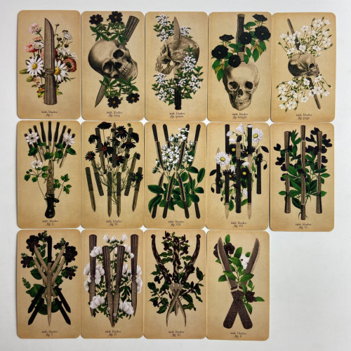 Карты Таро - Античной Анатомии, уменьшенная (Antique Anatomy Tarot)