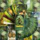 Карты Таро - Зачарованного Леса, уменьшенная (Forest of Enchantment Tarot)