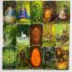 Карты Таро - Зачарованного Леса, уменьшенная (Forest of Enchantment Tarot)