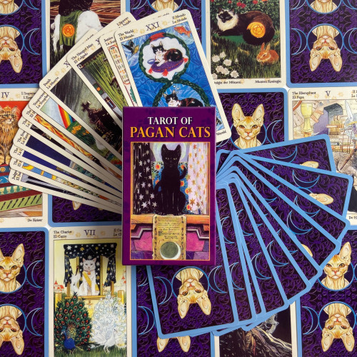 Карты Таро - Языческих Кошек, уменьшенная (Tarot of Pagan Cats)