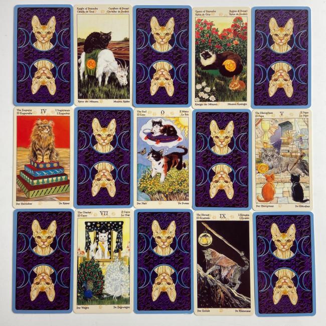Карти Таро - Язичницьких Кішок, зменшена (Tarot of Pagan Cats)