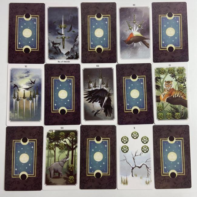 Карти Таро - Душі Світу, зменшена (Anima Mundi Tarot) Карти Таро - Душі Світу, зменшена (Anima Mundi Tarot)