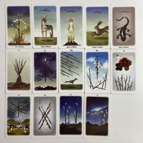 Карты Таро - Души Мира, уменьшенная (Anima Mundi Tarot) Карты Таро - Души Мира, уменьшенная (Anima Mundi Tarot)