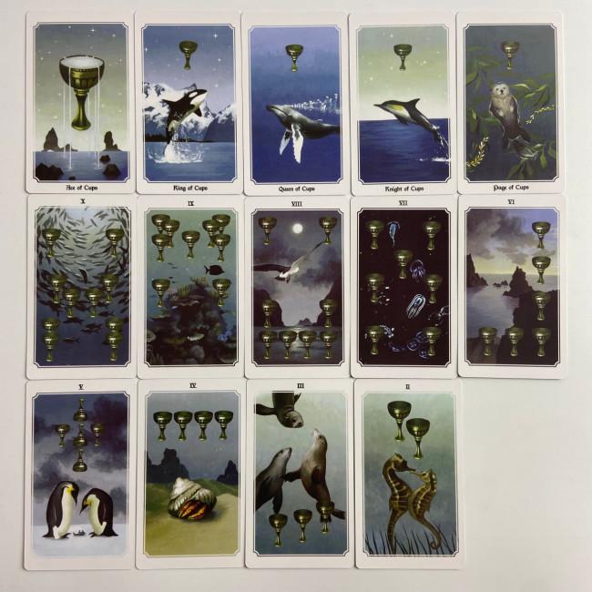 Карти Таро - Душі Світу, зменшена (Anima Mundi Tarot) Карти Таро - Душі Світу, зменшена (Anima Mundi Tarot)