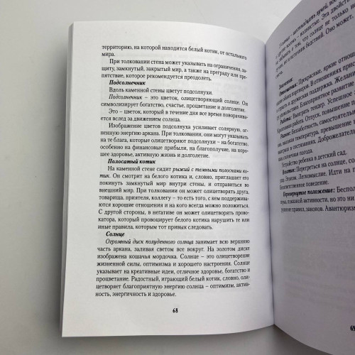 Книга - Игры белых кошек. Путь познания себя (Юлия Юсупова)