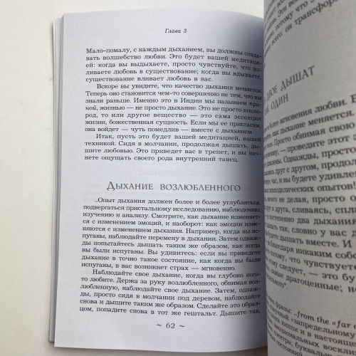 Книга - Исцеление души. 100 медитативных техник, целительных упражнений и релаксаций (Бхагван Шри Раджниш)