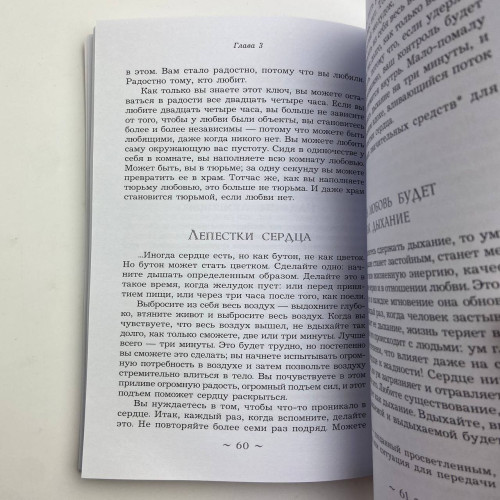 Книга - Исцеление души. 100 медитативных техник, целительных упражнений и релаксаций (Бхагван Шри Раджниш)