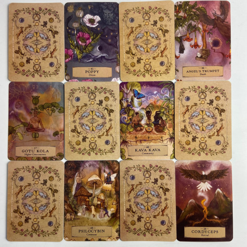 Карты Оракул - Травяной Астрологии (Herbal Astrology Oracle Cards) Карты Оракул - Травяной Астрологии (Herbal Astrology Oracle Cards)