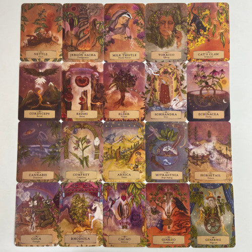 Карты Оракул - Травяной Астрологии (Herbal Astrology Oracle Cards) Карты Оракул - Травяной Астрологии (Herbal Astrology Oracle Cards)