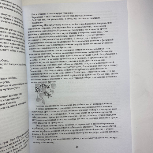 Книга - Магия трав для начинающих. Приземленное волшебство (Дуган Эллен)