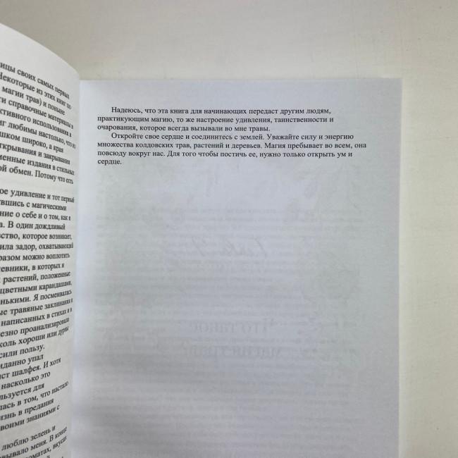 Книга - Магія трав для початківців. Приземлене чаклунство (Дуган Еллен)