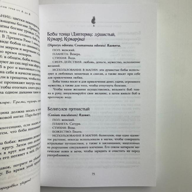 Книга - Магія трав від А до Я. Повна енциклопедія чарівних рослин (Скотт Каннінгем) Книга - Магія трав від А до Я. Повна енциклопедія чарівних рослин (Скотт Каннінгем)