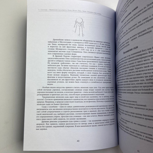 Книга - Магические способности: Огонь, Воздух, Вода, Земля. Определи свою стихию (Тэмми Салливан)