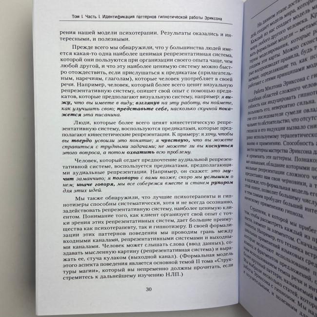 Книга - Полный курс гипноза. Паттерны гипнотических техник Милтона Эриксона