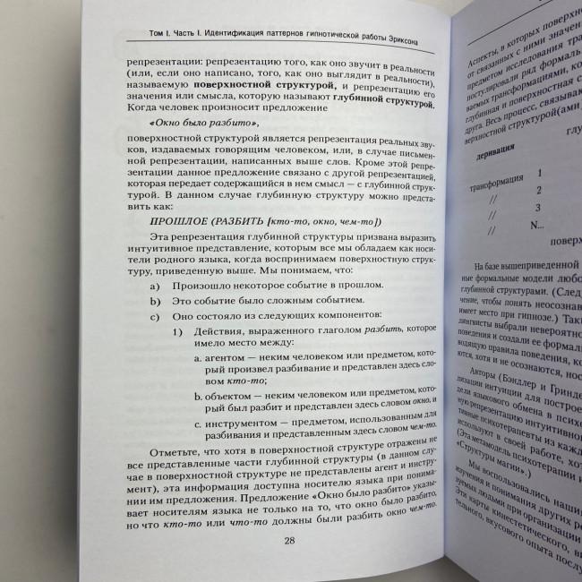 Книга - Полный курс гипноза. Паттерны гипнотических техник Милтона Эриксона