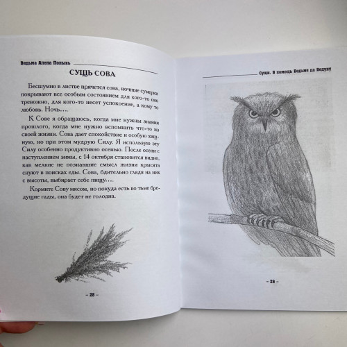 Книга - Сущи. В помощь Ведьме да Ведуну (Алена Полынь)