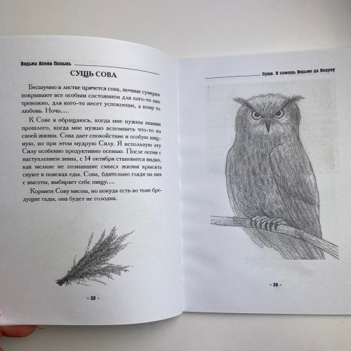 Книга - Сущи. В помощь Ведьме да Ведуну (Алена Полынь)