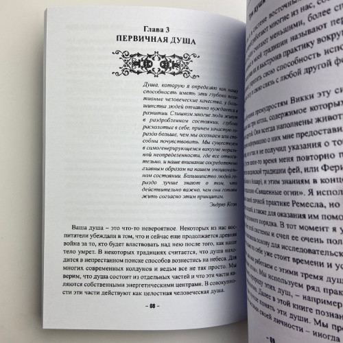 Книга - Колдовской силы (Девин Хантер)