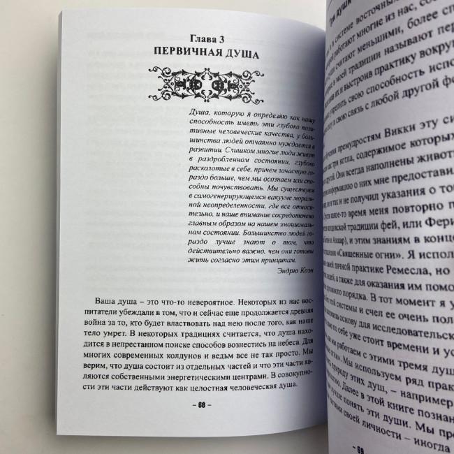 Книга - Колдовской силы (Девин Хантер)