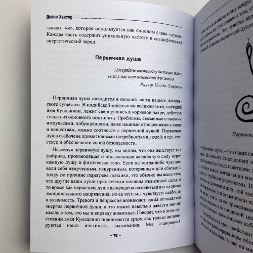 Книга - Колдовской силы (Девин Хантер)
