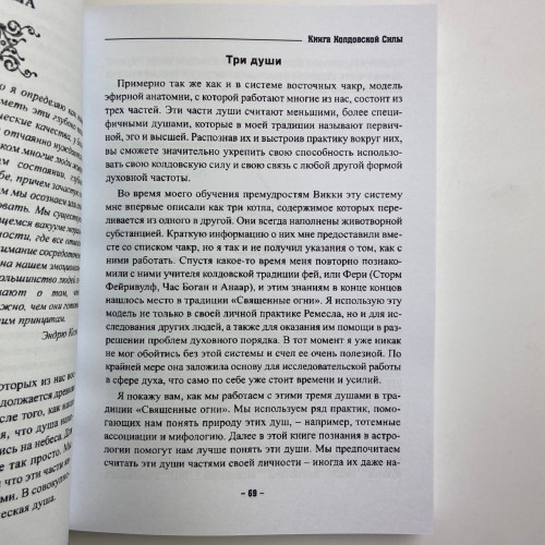 Книга - Колдовской силы (Девин Хантер)