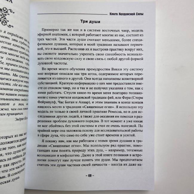 Книга - Колдовской силы (Девин Хантер)