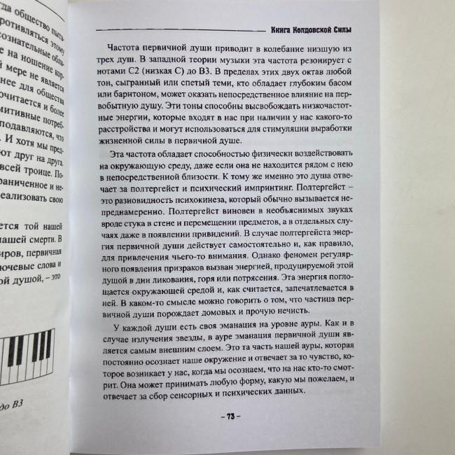Книга - Колдовской силы (Девин Хантер)