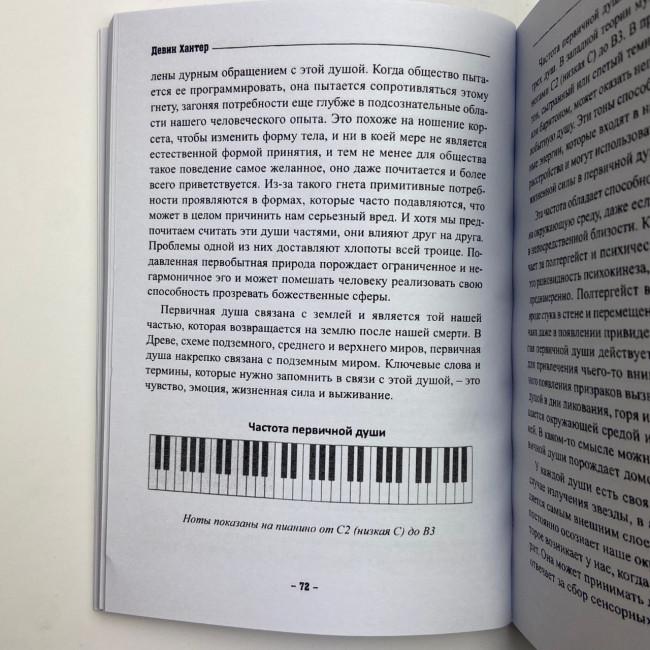 Книга - Колдовской силы (Девин Хантер)