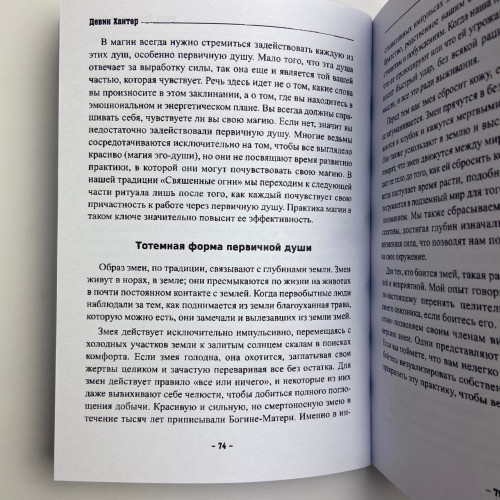 Книга - Колдовской силы (Девин Хантер)