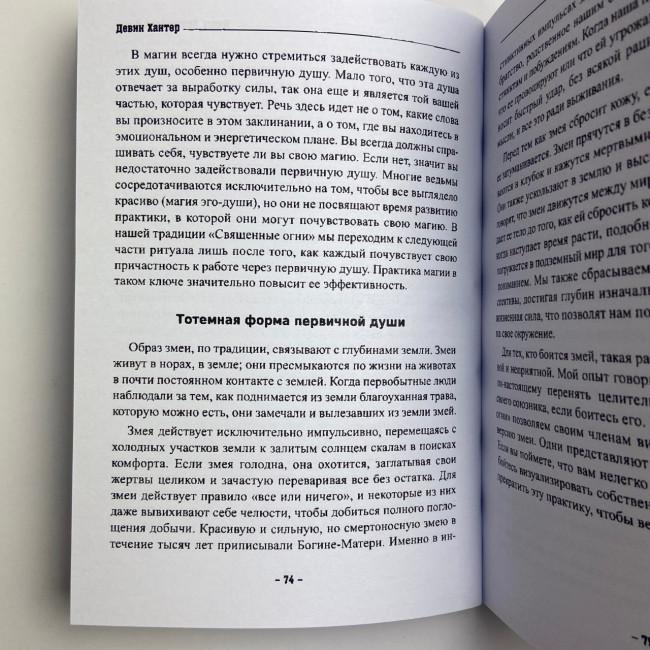 Книга - Колдовской силы (Девин Хантер)