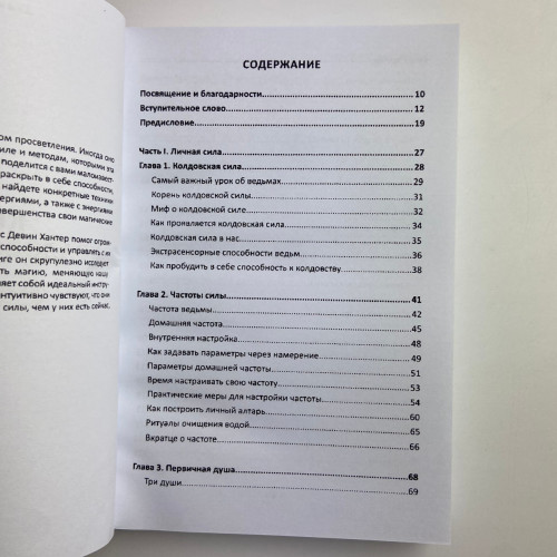 Книга - Колдовской силы (Девин Хантер)
