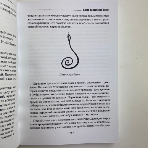 Книга - Колдовской силы (Девин Хантер)
