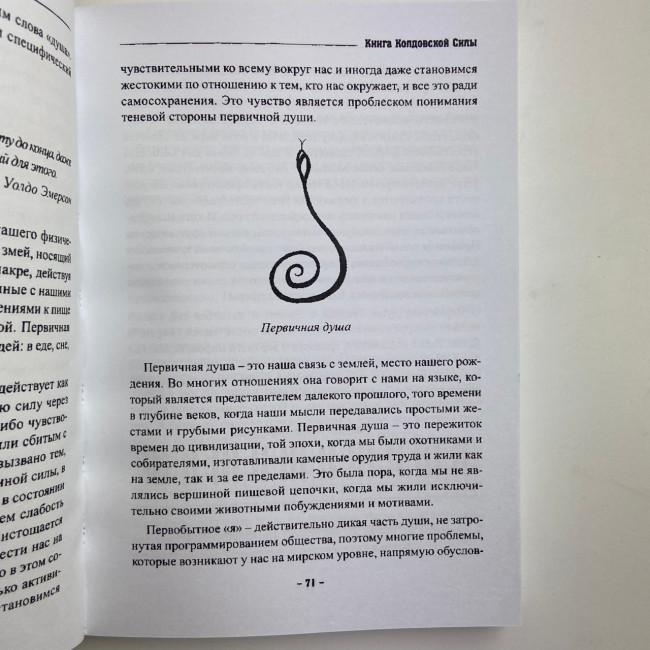 Книга - Колдовской силы (Девин Хантер)