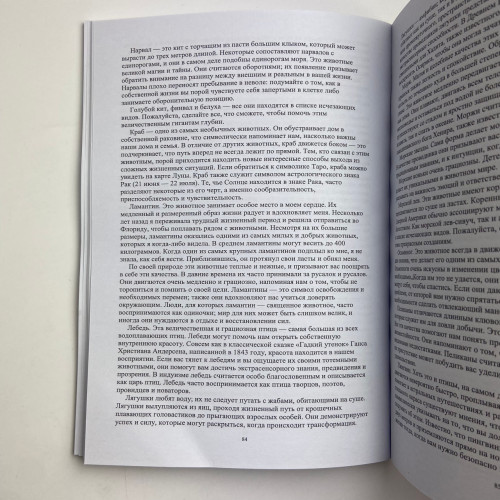 Книга - Магия Воды. Все тайны стихии в одной книге (Лилит Дорси)