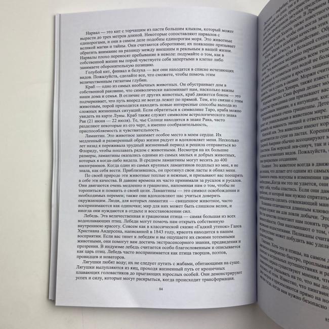 Книга - Магия Воды. Все тайны стихии в одной книге (Лилит Дорси)