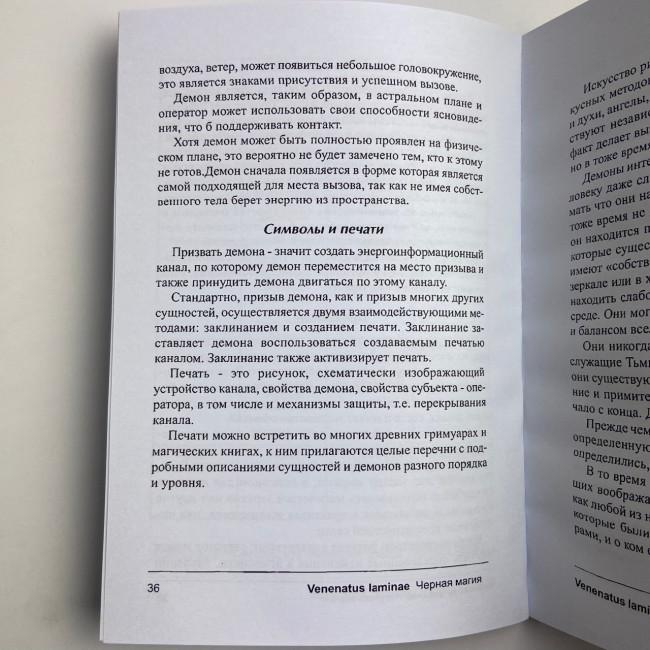 Книга - Lamagienoire. Черная Магия. Практикум (Ильченко)