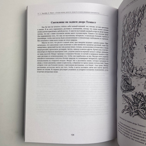 Книга - Алтарь ведьмы: ремесло, мудрость и магия священного пространства (Джейсон Манки, Лаура Закрофф)