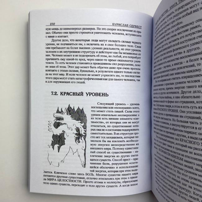 Книга - Магия бессмертия. Книга тайн (Бурислав Сервест)