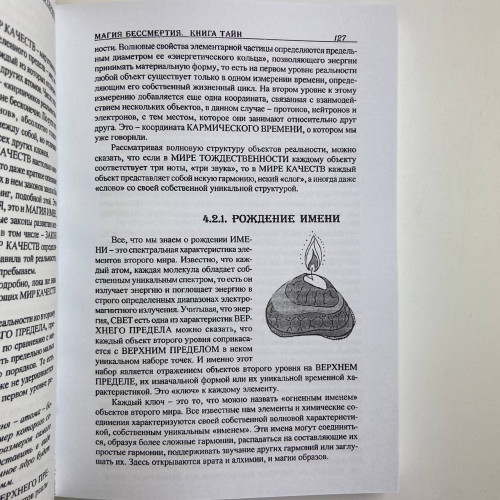 Книга - Магия бессмертия. Книга тайн (Бурислав Сервест)