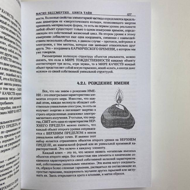 Книга - Магия бессмертия. Книга тайн (Бурислав Сервест)