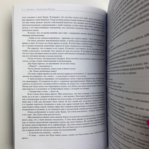 Книга - Путешествие в Икстлан (Карлос Кастанеда)