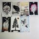 Карты Таро - Дикое неизвестное, The Wild Unknown Tarot (Ким Кран)