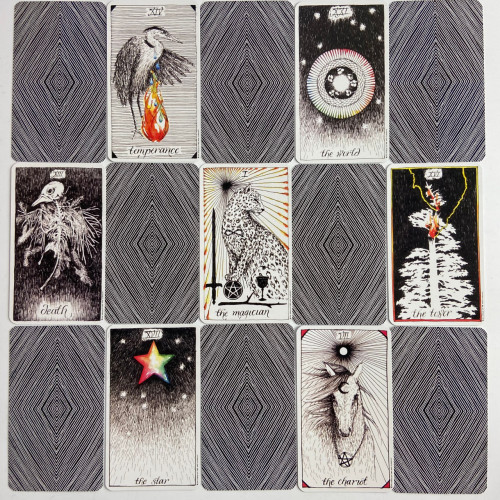 Карты Таро - Дикое неизвестное, The Wild Unknown Tarot